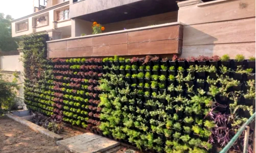 Landscaping & Maintanance Service Delhi, Vertical Gardening Delhi